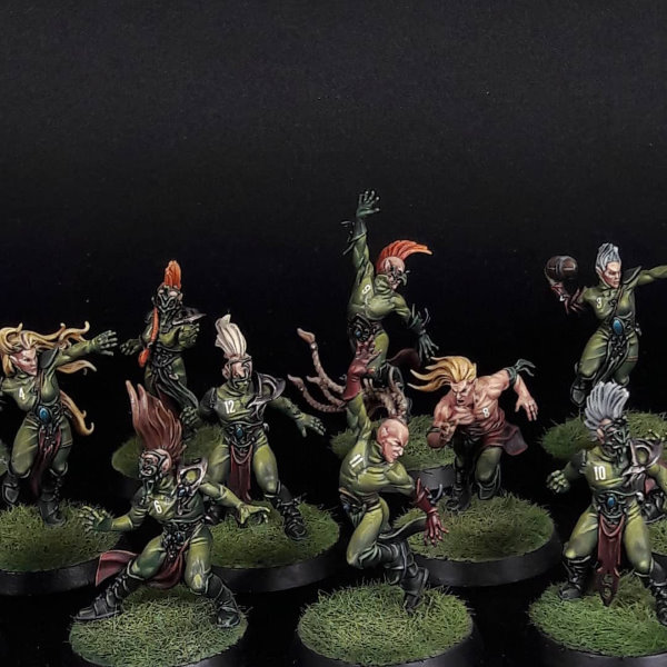 Wood elves team