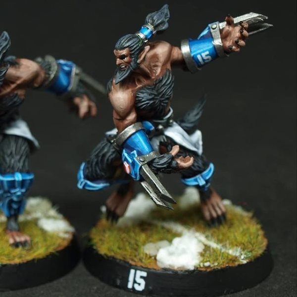 Berzerker (Norses)
