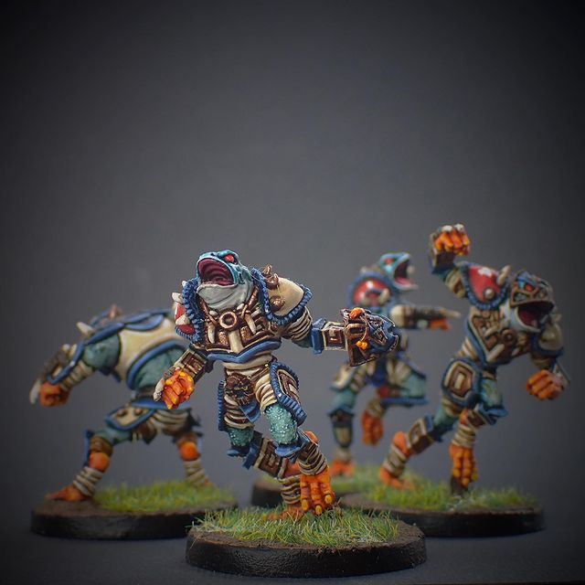 Slanns team