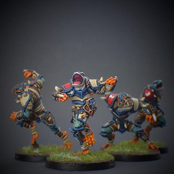 Slanns team